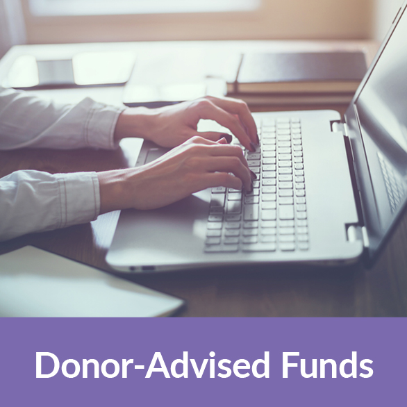 A person on their laptop. Donor-Advided Funds Rollover A person on their laptop. Donor-Advided Funds Rollover
